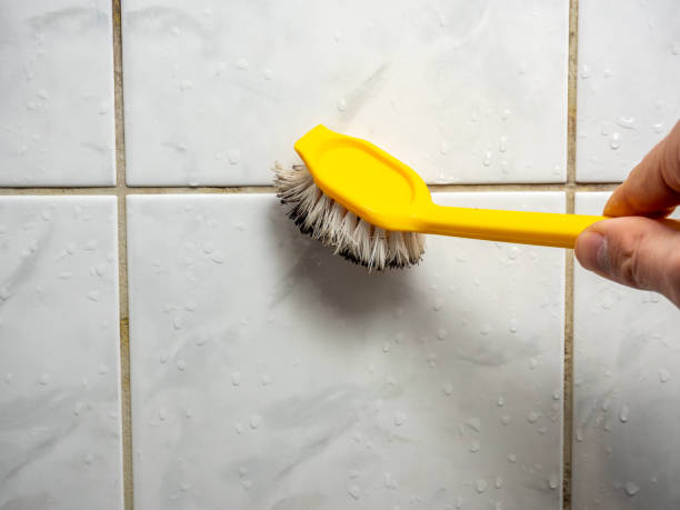 Professional Mold Remediation in Carleton, MI