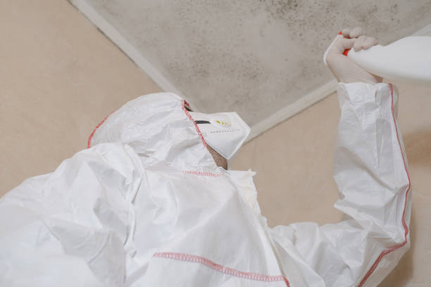 Best Industrial Mold Remediation in Carleton, MI