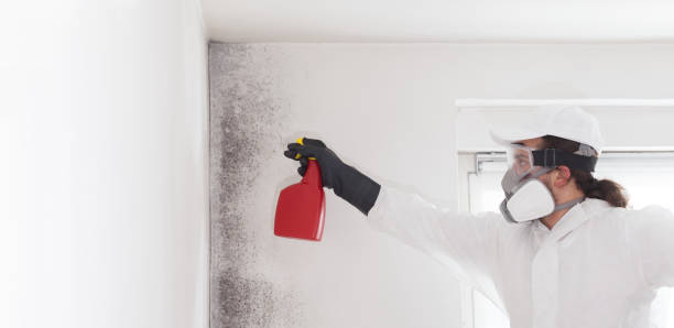 Carleton, MI Mold Remediation Company